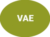 V.A.E. (Validation des Acquis de l'Expérience)